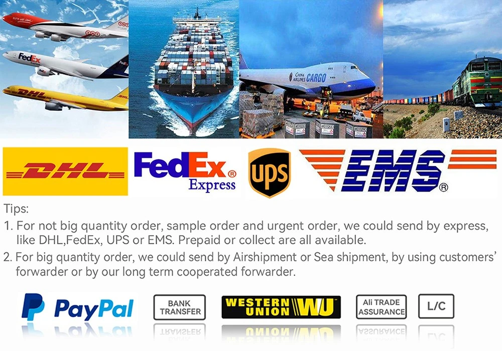 Shipping and Payment Shipping and Payment